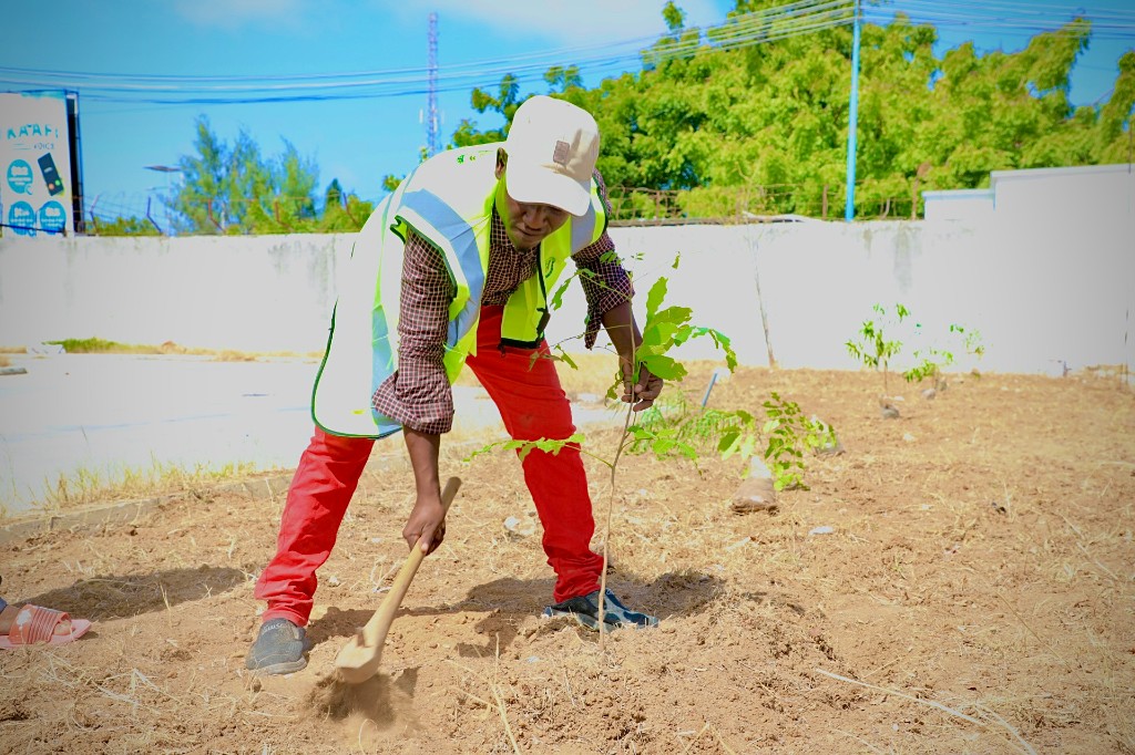 HECA community member planting trees in Somalia